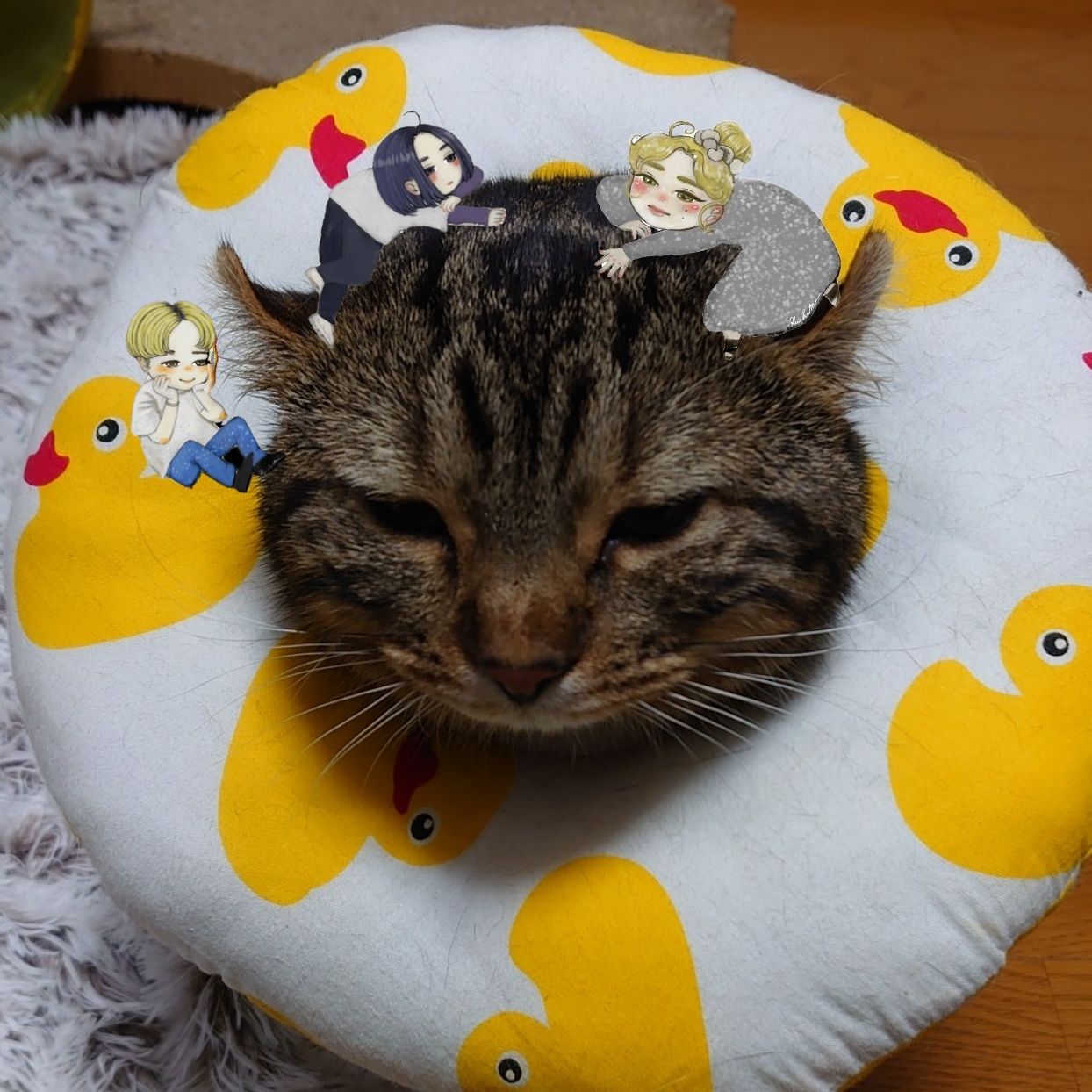 なみ