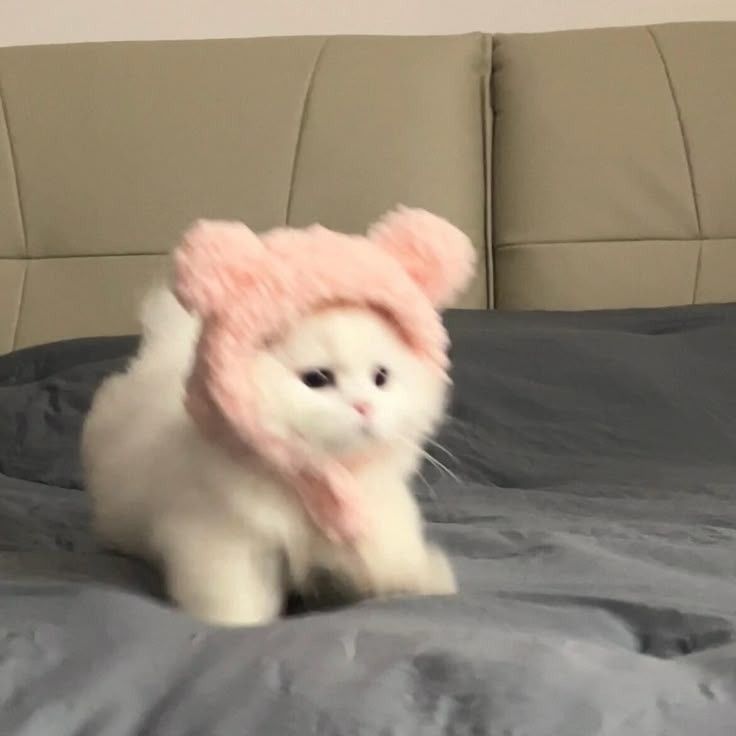 佐藤純恵
