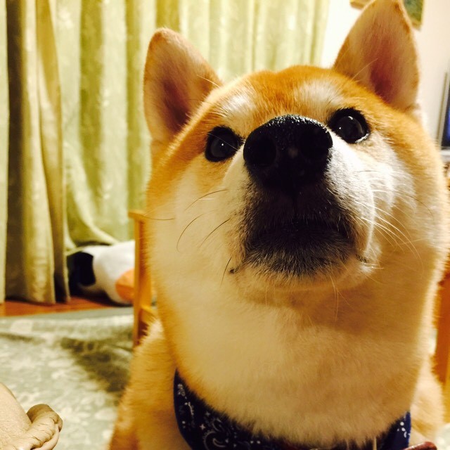 みき