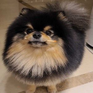 Na