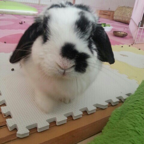 たかちやん