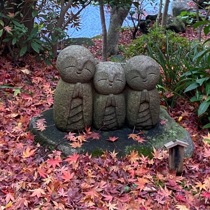 保坂智美