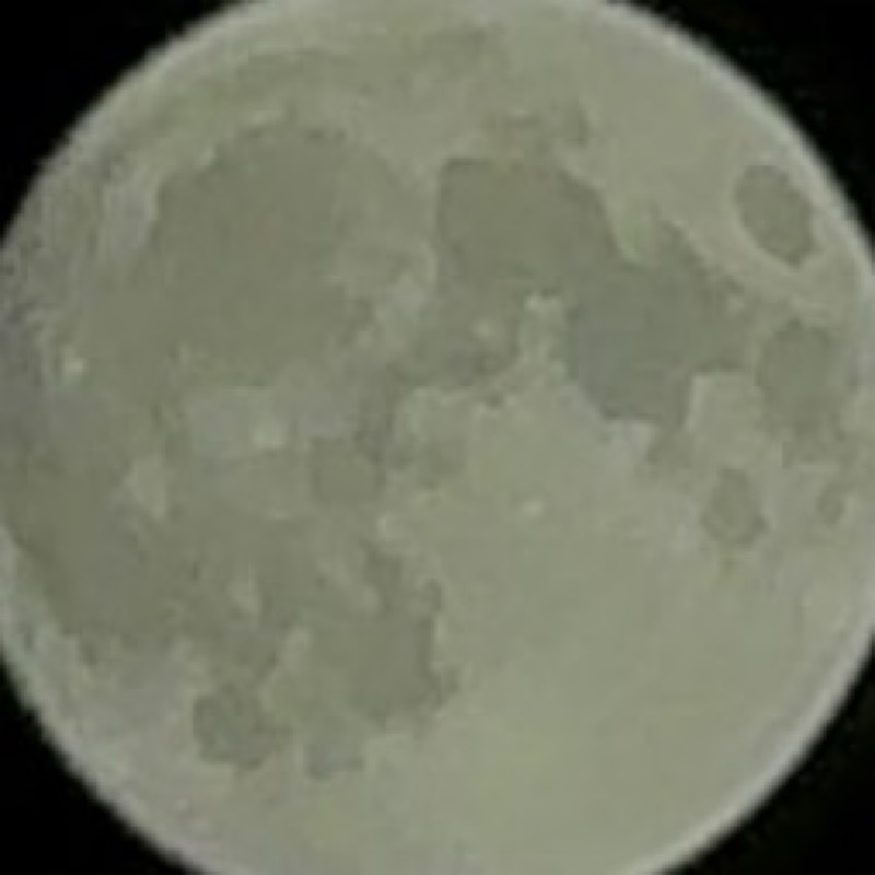 じょん
