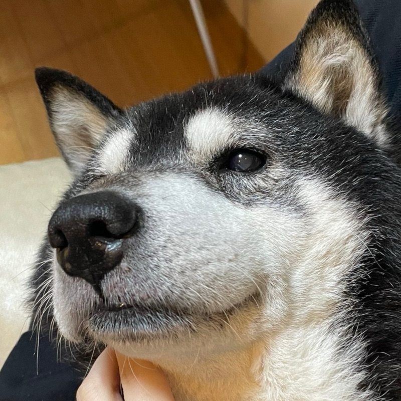 山下真凜