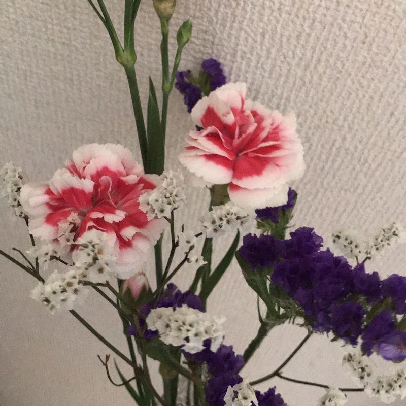 堀内陽子