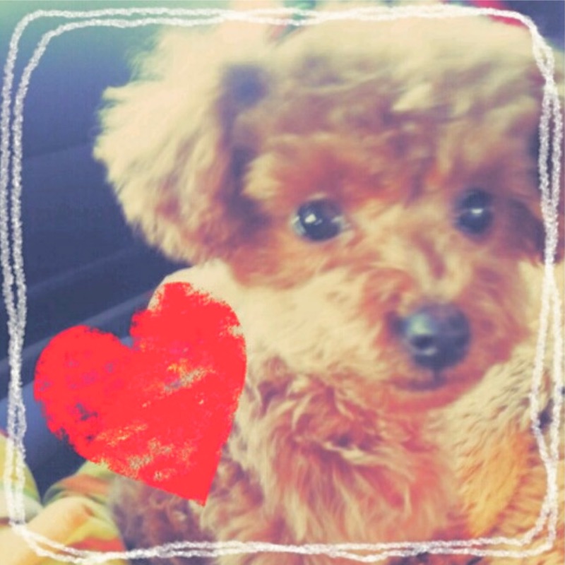 mimi