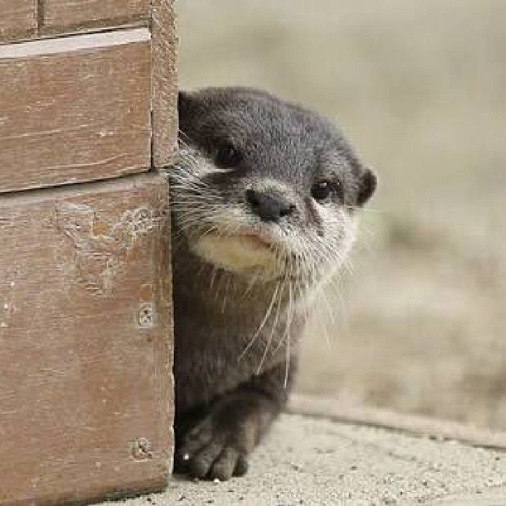まり