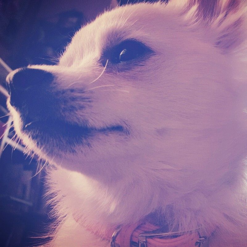 鈴木
