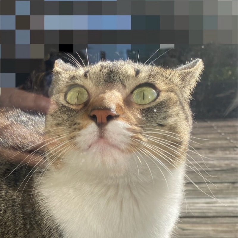 れな