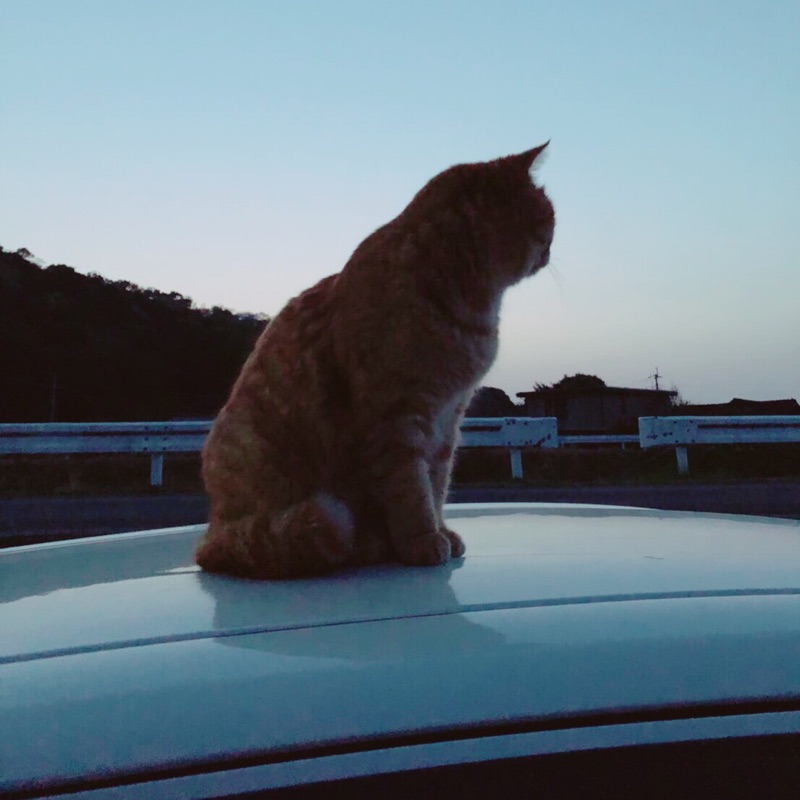にょ