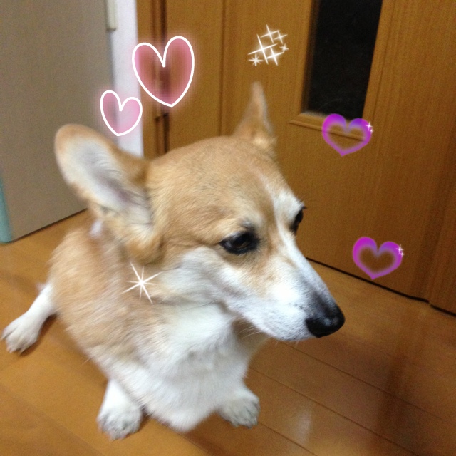 Kayo