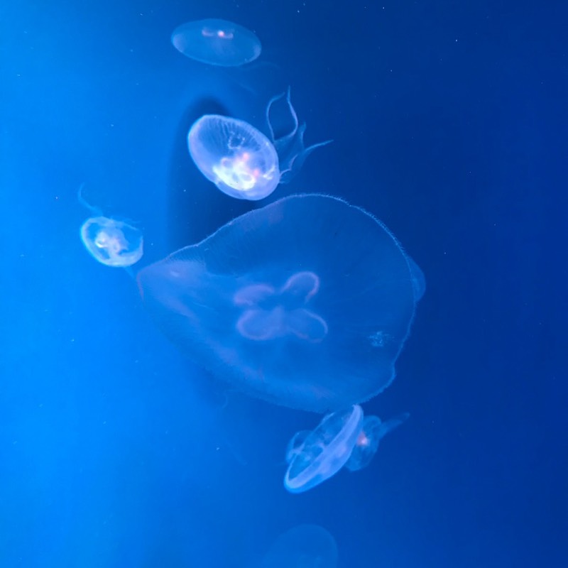 溝口敦子