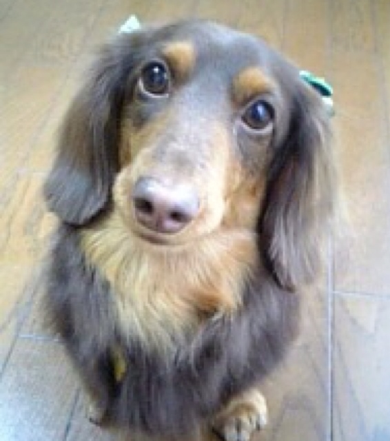 hiromi