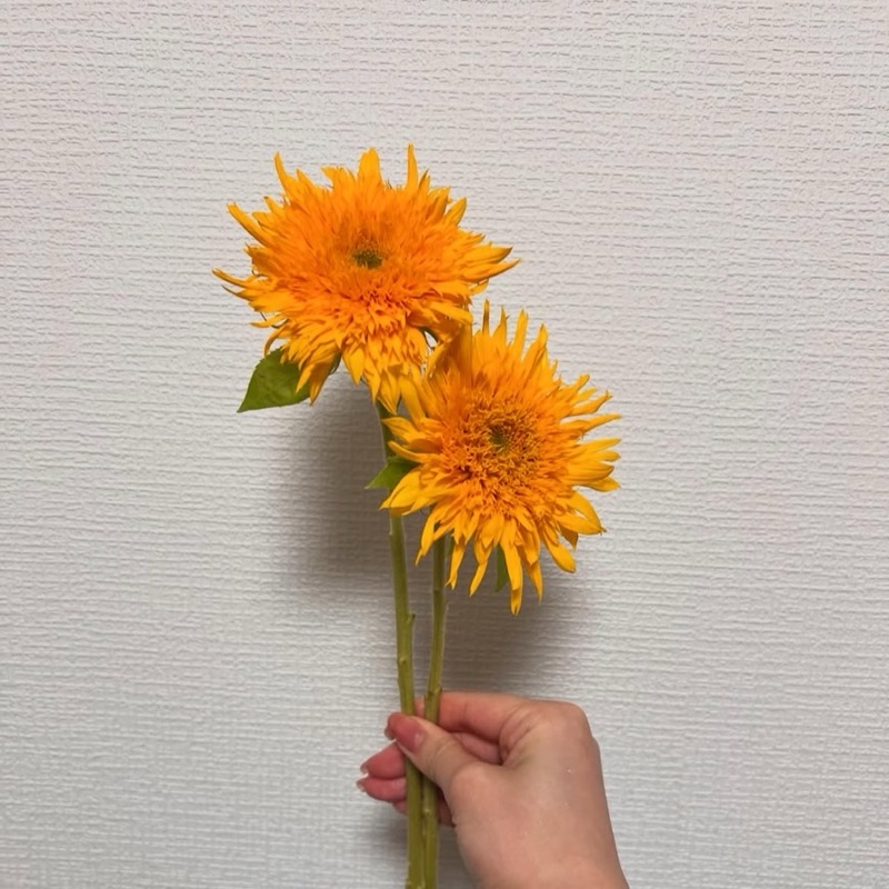 大江　歩奈