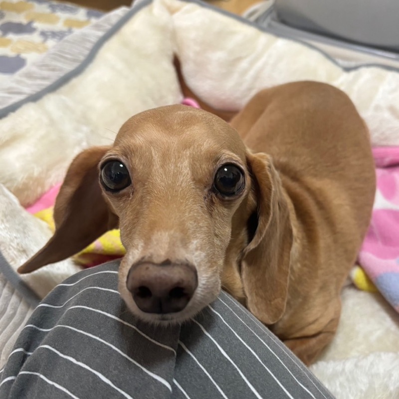 今林　里菜