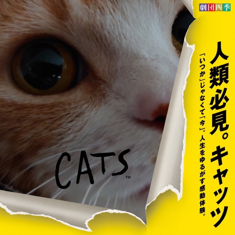 今井千鶴