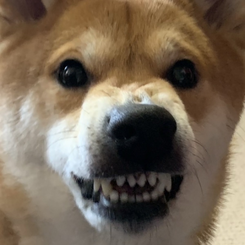 蘭