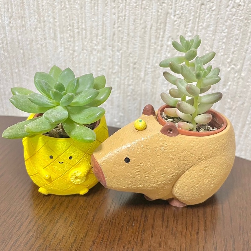 足立　史実