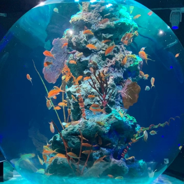鈴木聖子