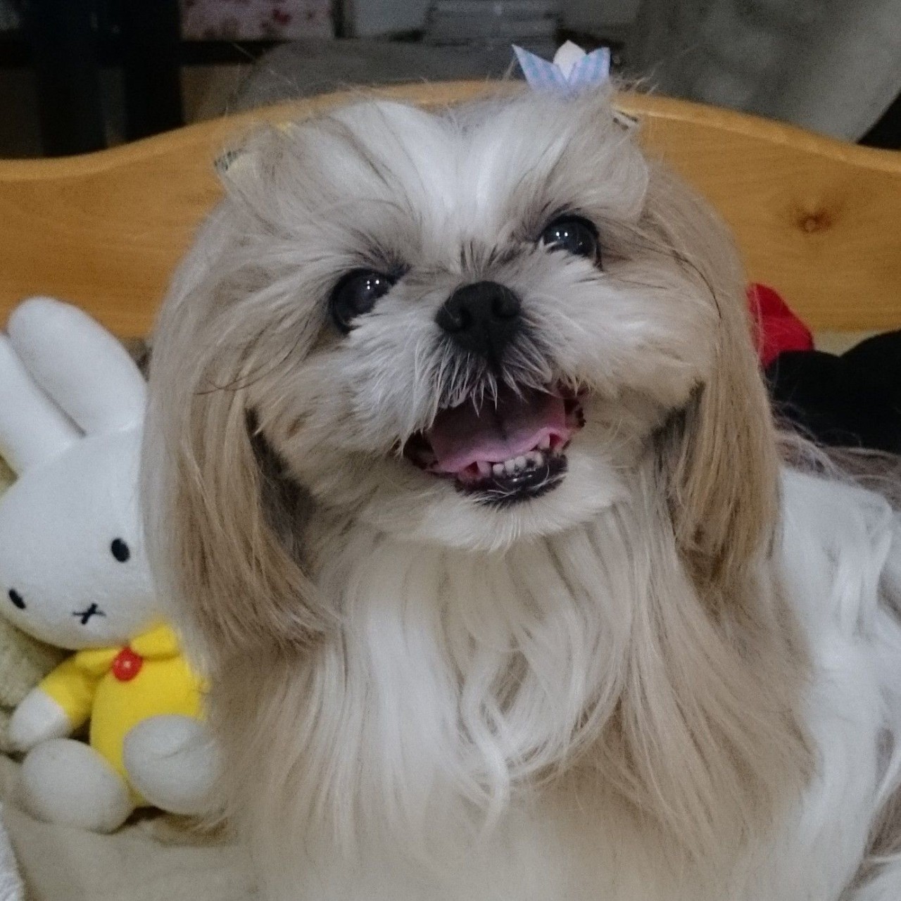 井澤 千代美
