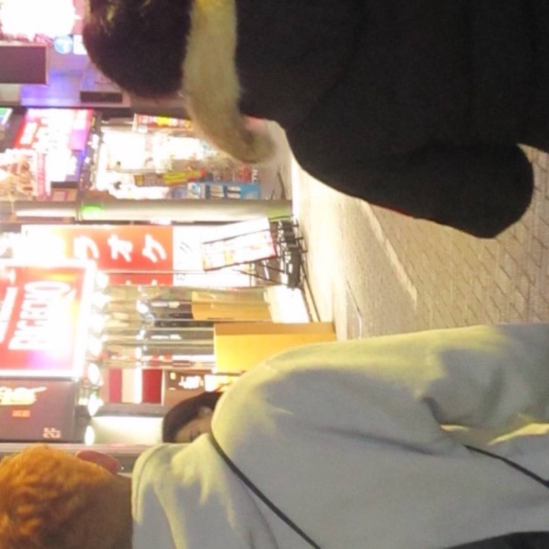 河内颯亥