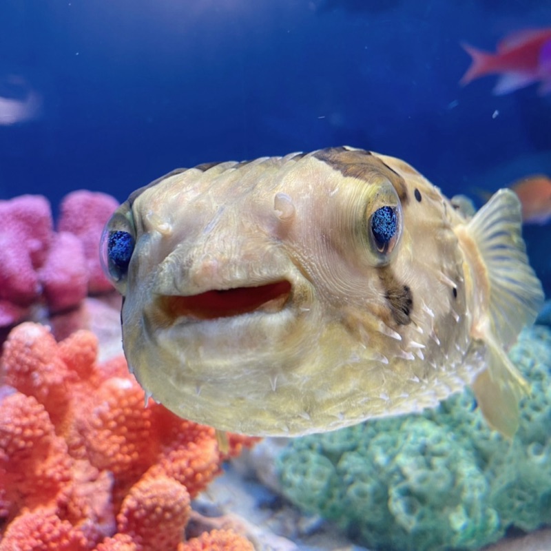 畑にいる人