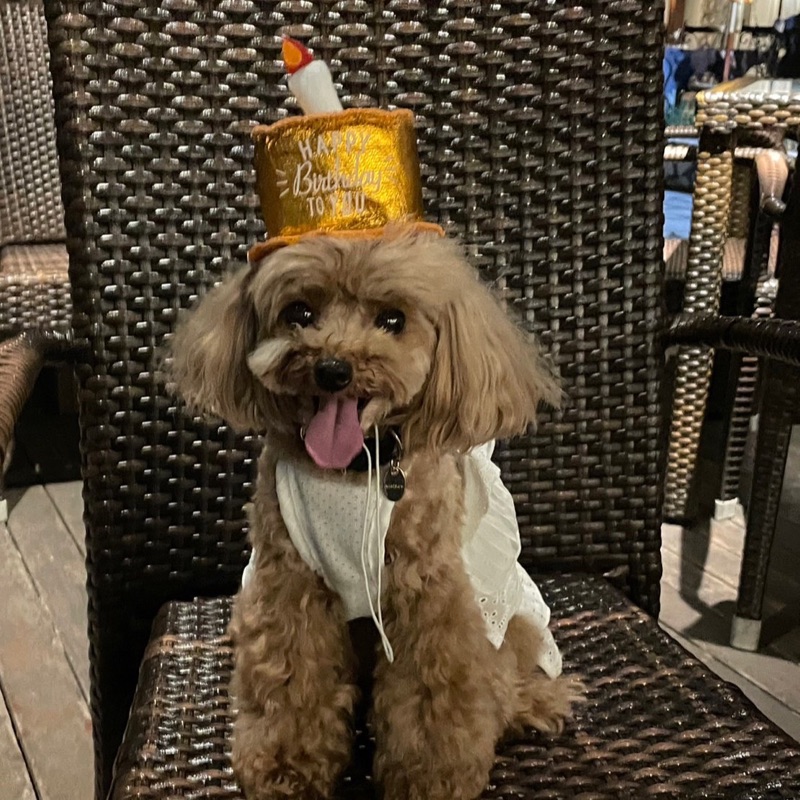 lulu