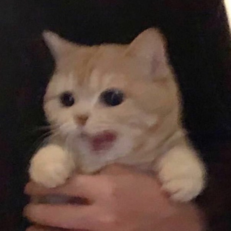 ゆり  