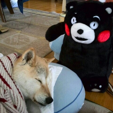 なじみの客