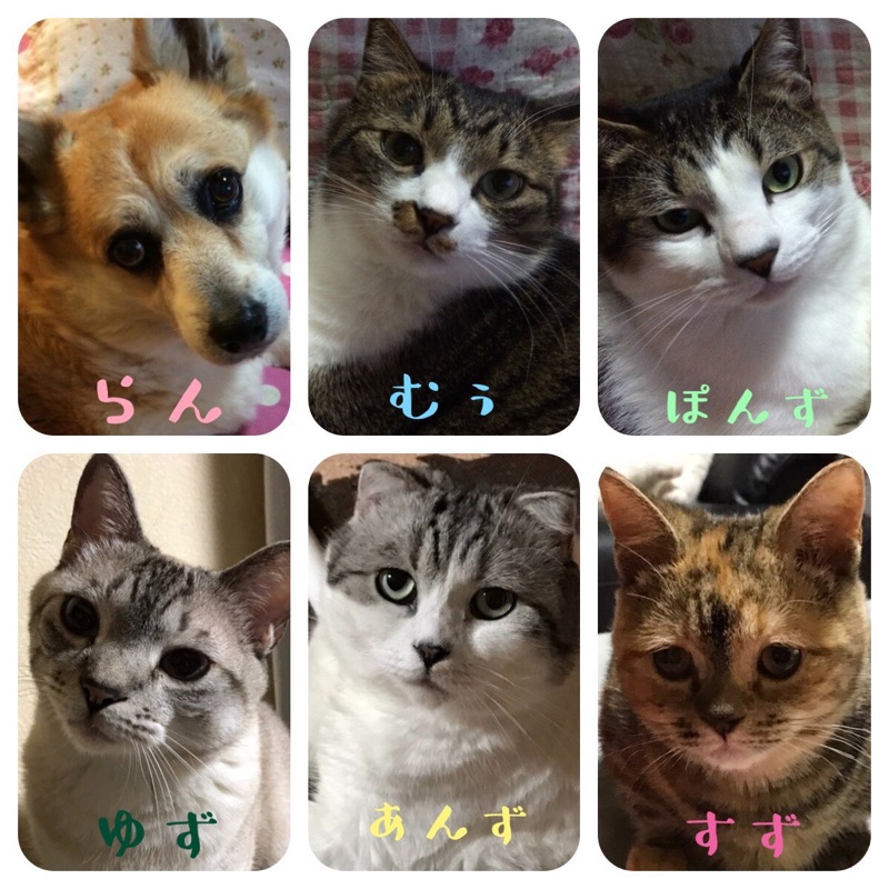 長谷川　弘子