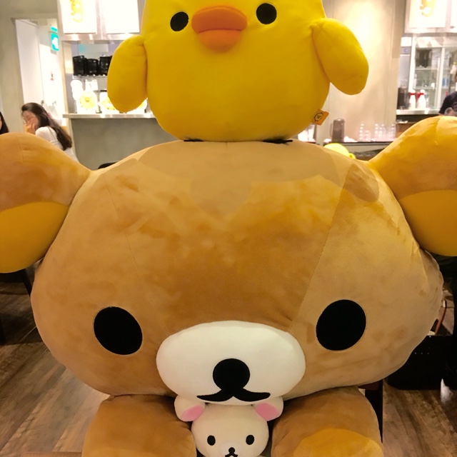 中場瑞葵