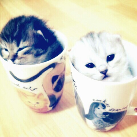 匿名2025年11月2日17時