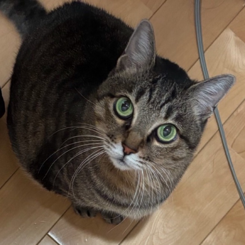 しー