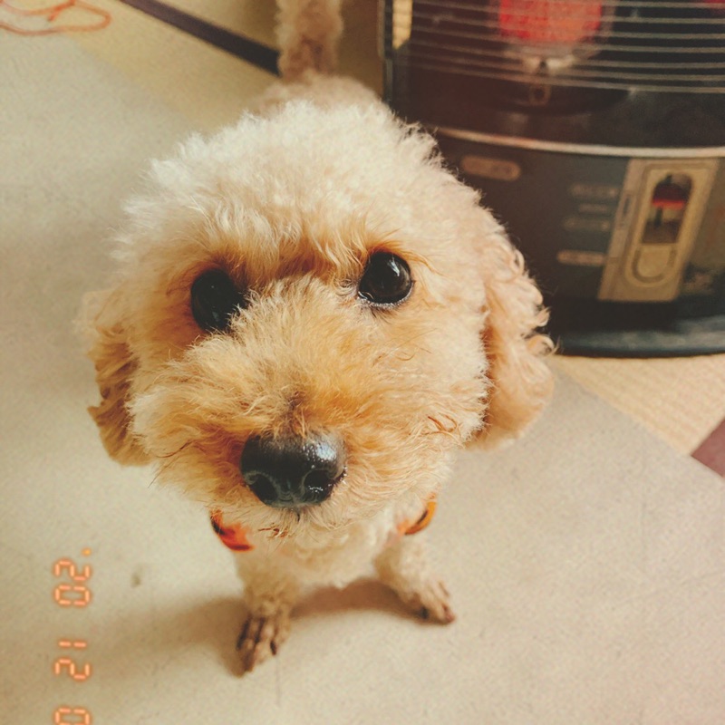 あーさん