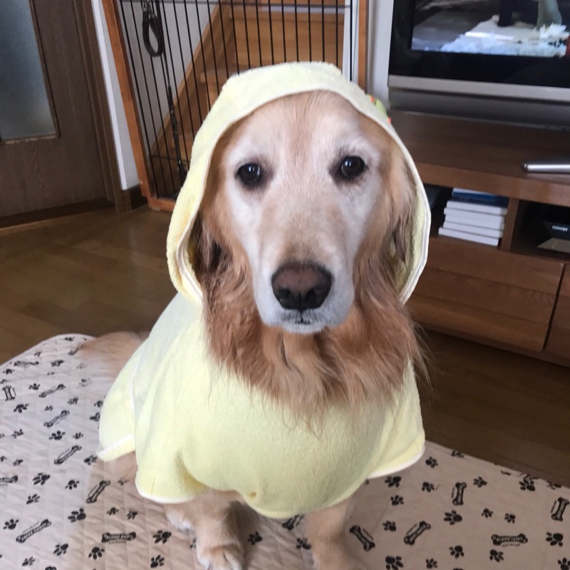 Naru
