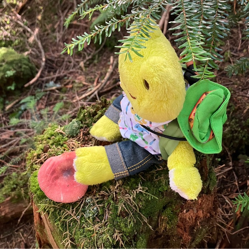 もけもふがえる