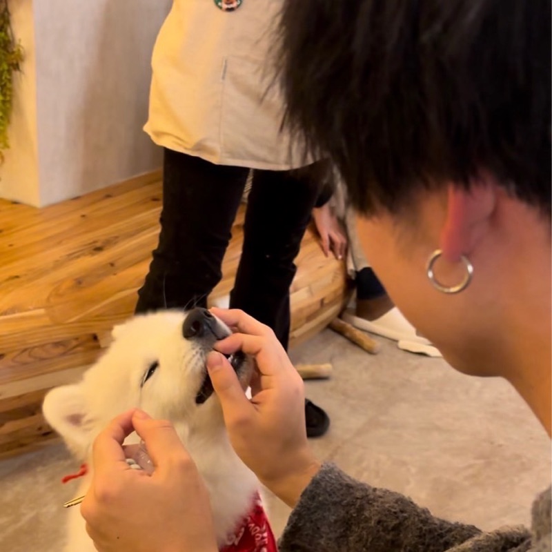 多田漣