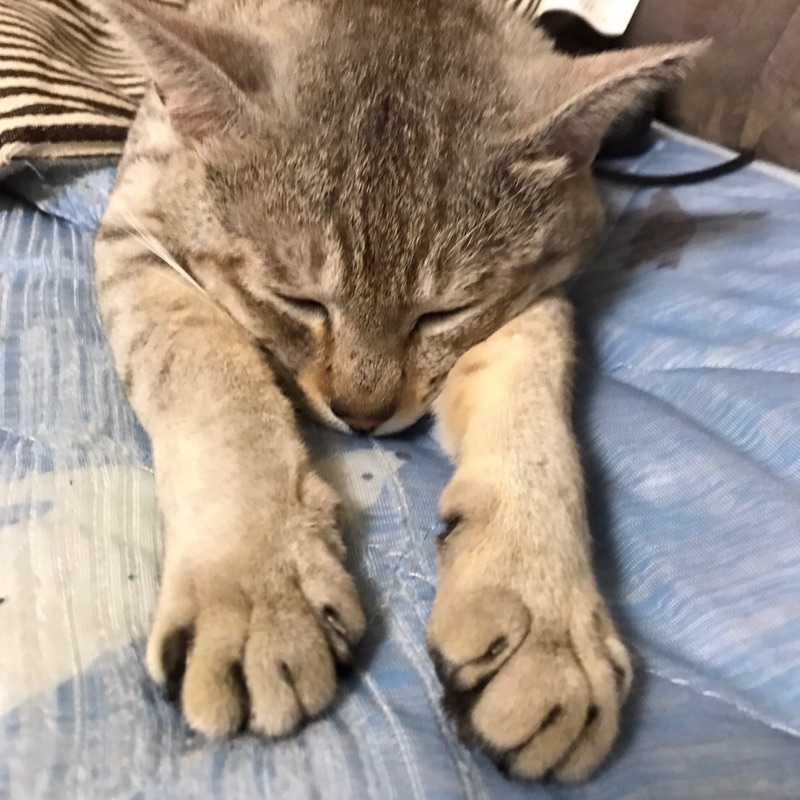 50代女性