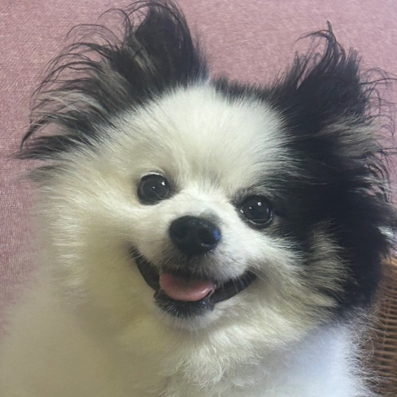 きら