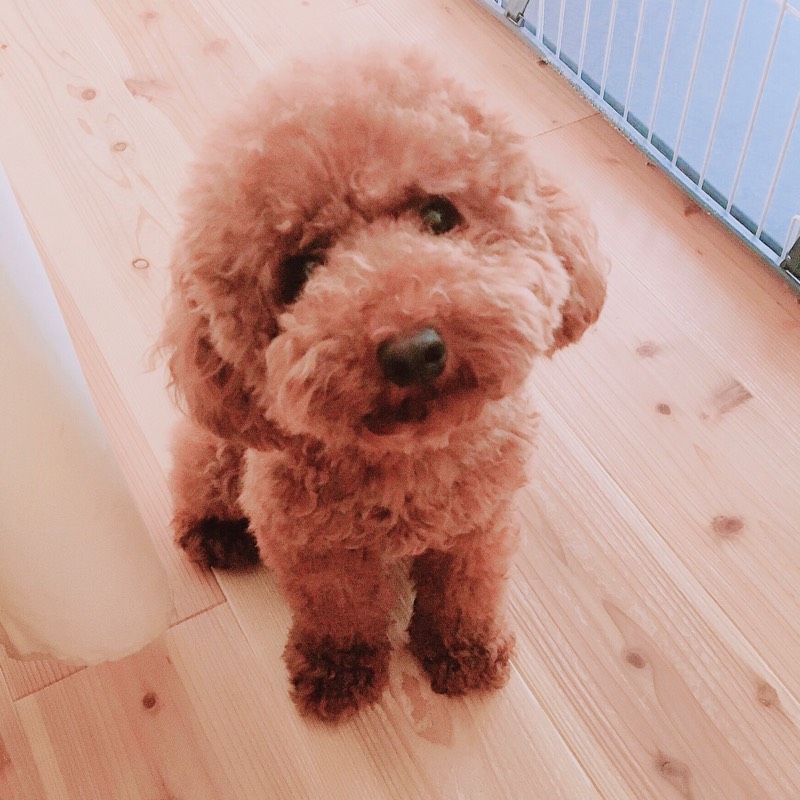 Taka