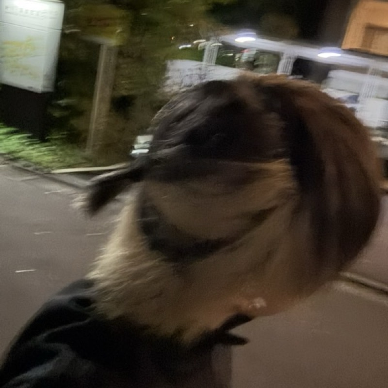 中村裕人