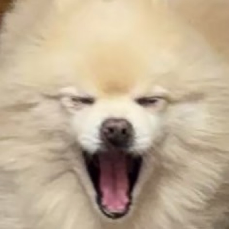 i.m
