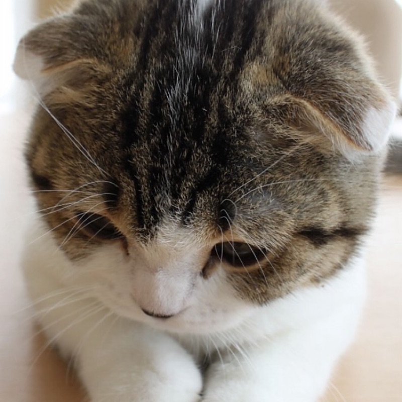 そら