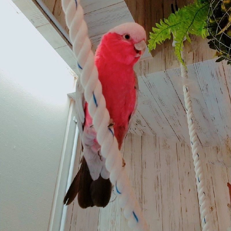みずたに