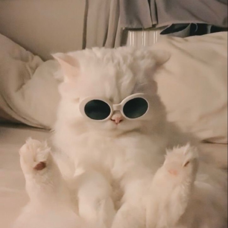 加藤 百華