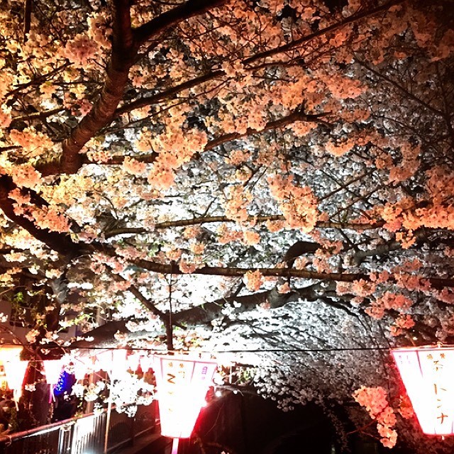 河崎誠