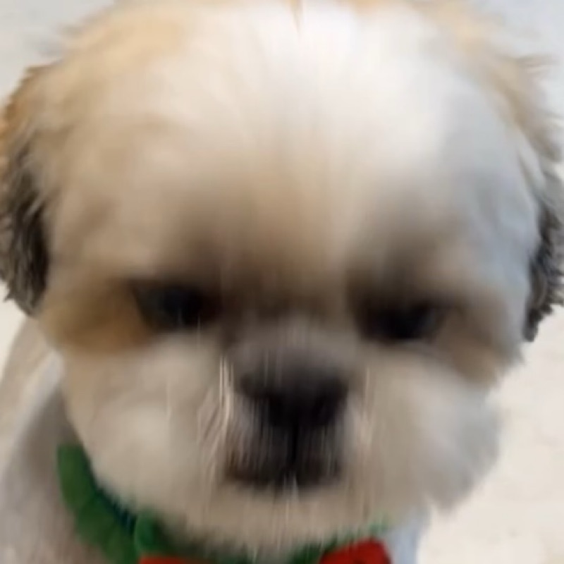 り
