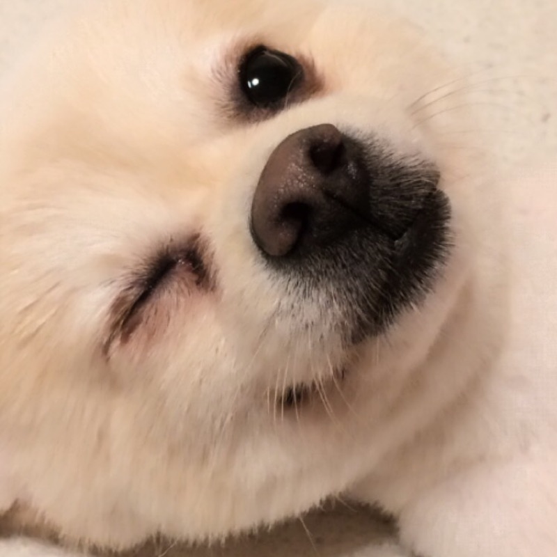 天城明美