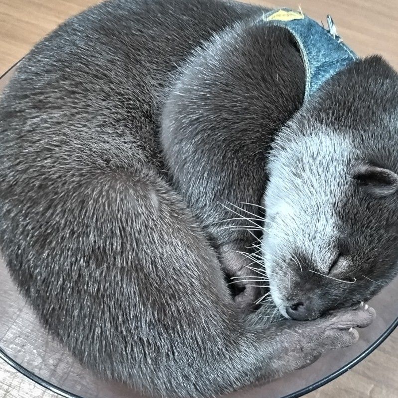 まー