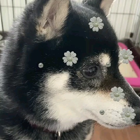 山内絵里子